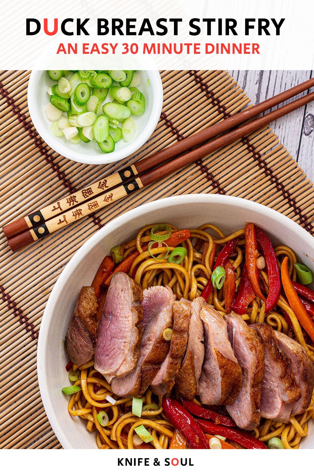 Duck Stir Fry With Noodles and Hoisin Sauce (Duck Chow Mein) - Knife ...