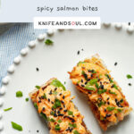 A serving of Crispy Rice with spicy salmon