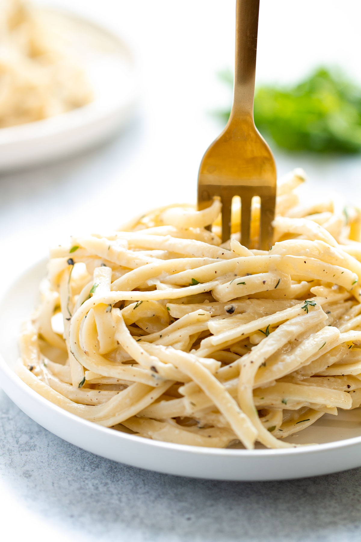 A plate of pasta with creamy white wine sauce on a pale blue background.