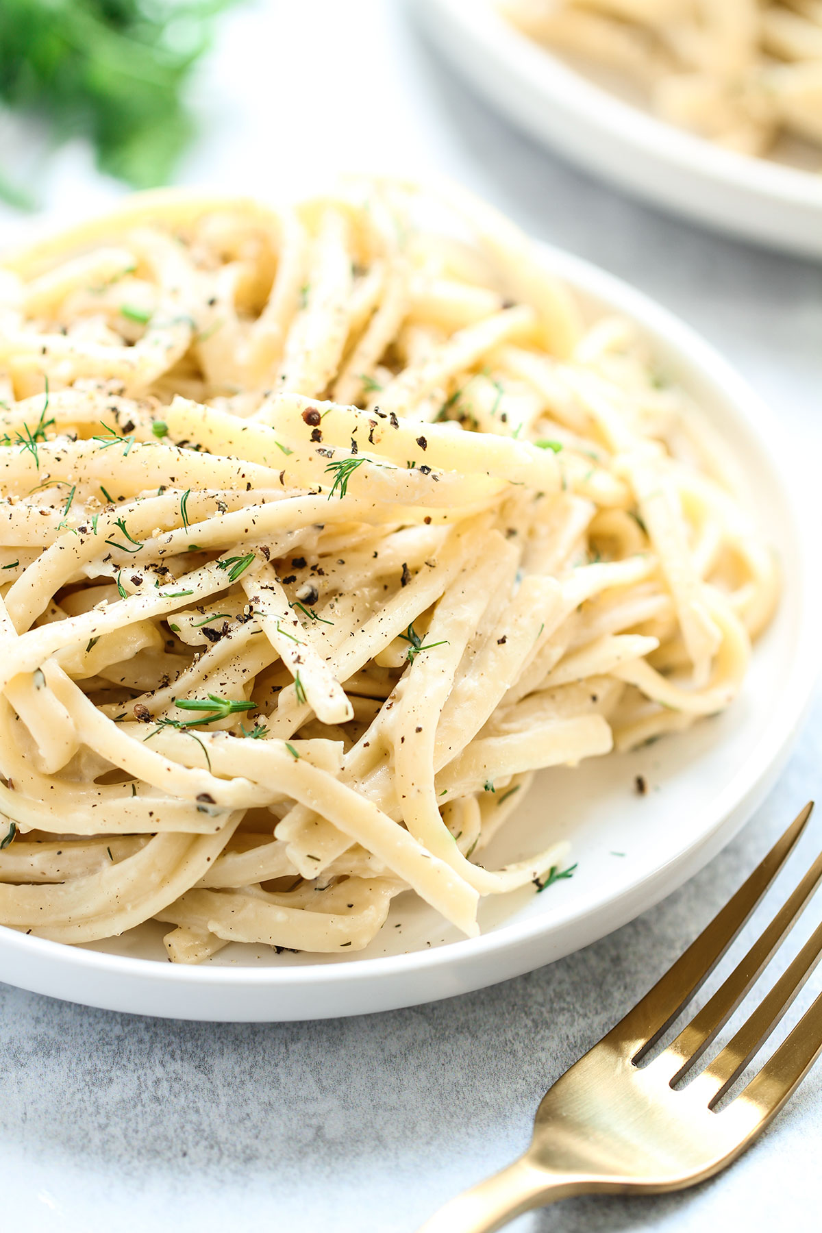 A plate of pasta toss in creamy white wine sauce on a pale blue background.