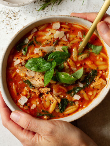 Chicken Alfredo Tortellini Soup (Easy 20-Minute Recipe) - Knife and Soul
