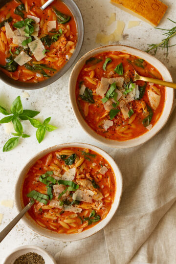Rosa Marina Soup (Italian Orzo Soup with Chicken and Tomato) - Knife ...