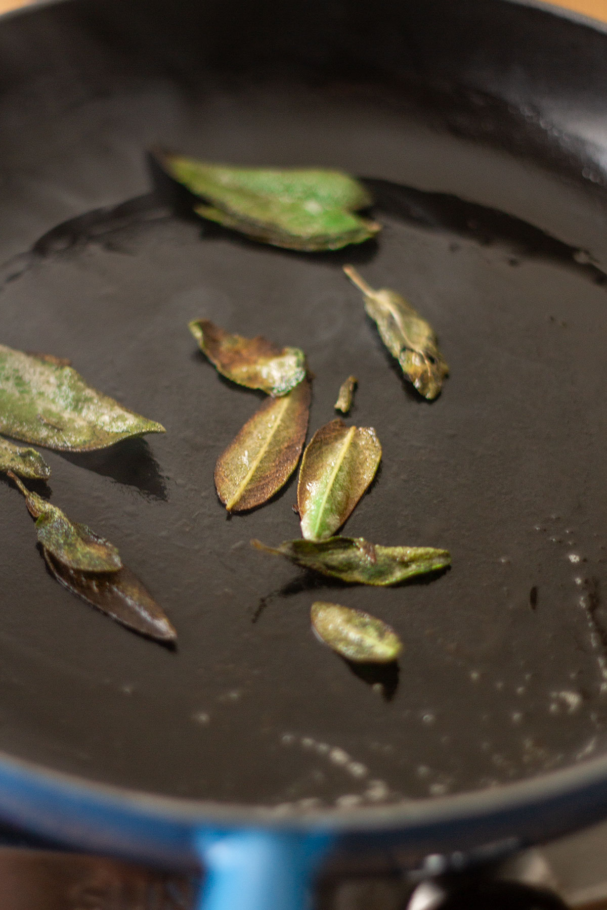Frying the sage leaves until crispy in a skillet.