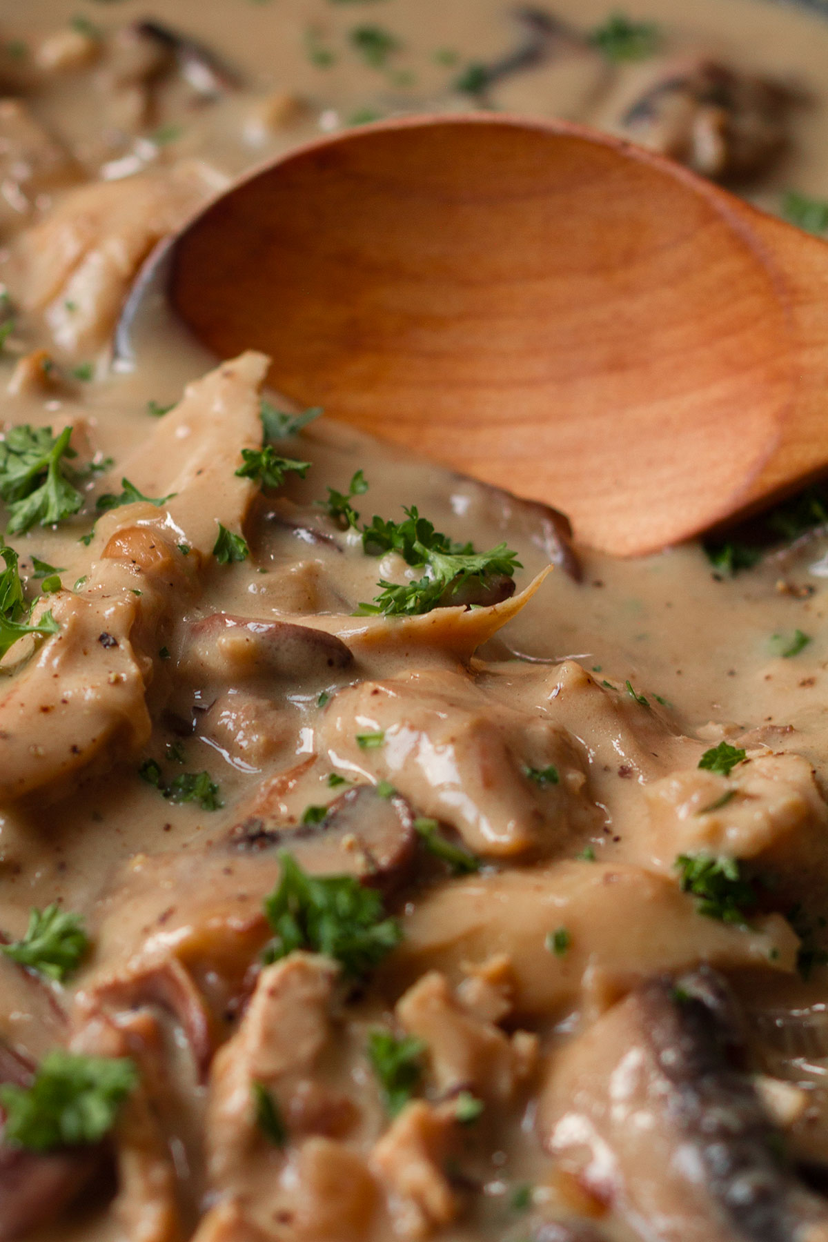 A close up photograph of turkey fricassee, garnished with parsley, being served with a wooden spoon.